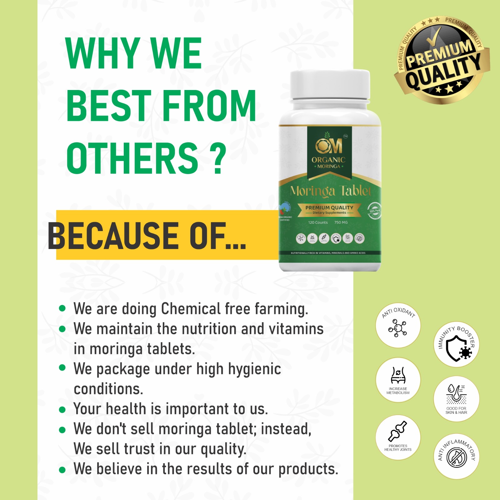 vegetables best company in india